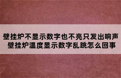 壁挂炉不显示数字也不亮只发出响声 壁挂炉温度显示数字乱跳怎么回事